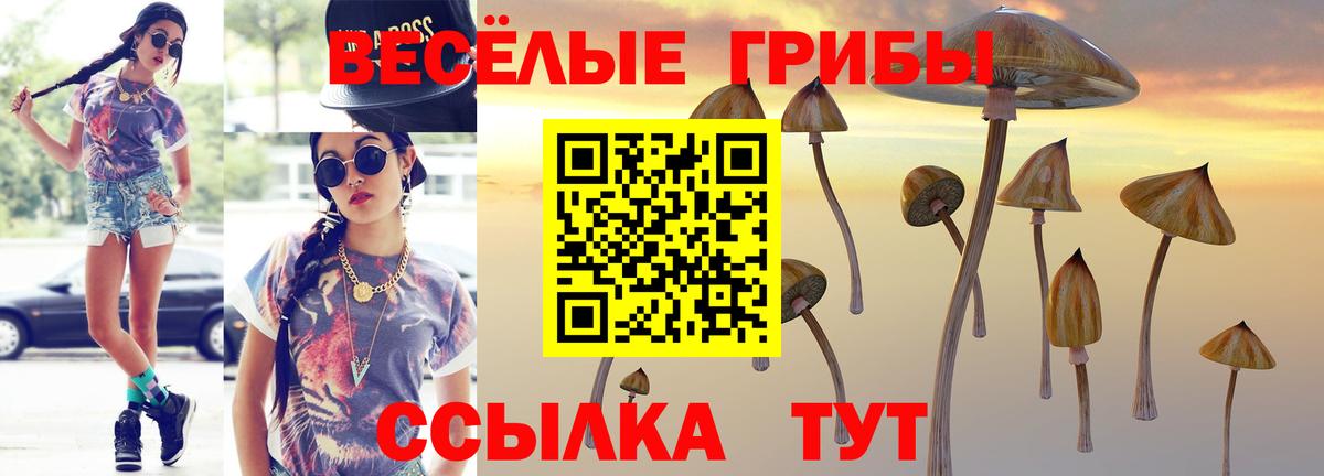 Наро-Фоминск  Псилоцибиновые грибы Psilocybe  Галлюциногенные грибы Cubensis  Вход с VPN 